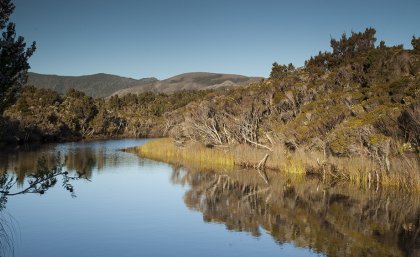 Melaleuca National Park: credit J Ringma